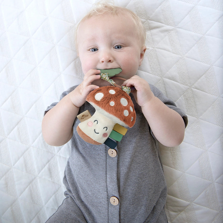 Sweetie Pal™ Plush & Pacifier