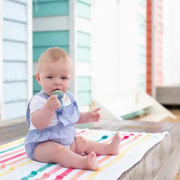 Silicone Fresh Food Feeder