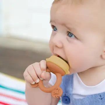 Silicone Fresh Food Feeder