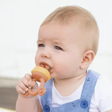 Silicone Fresh Food Feeder