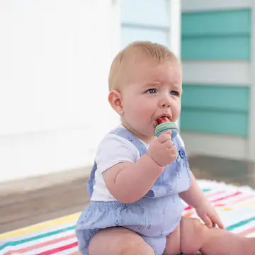 Silicone Fresh Food Feeder